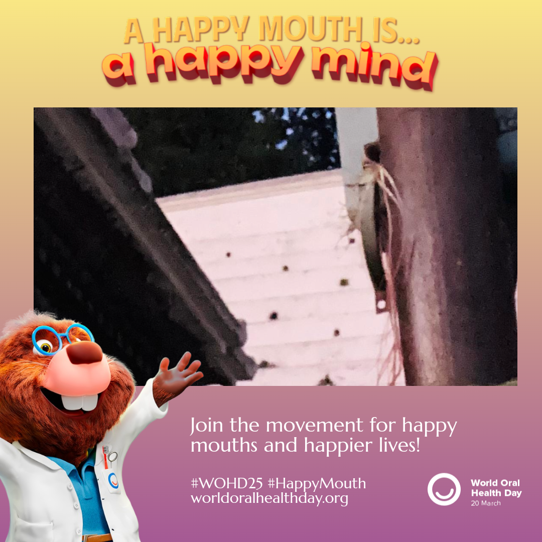 298f1955c3d1c104446cbffd90ce85c1.png