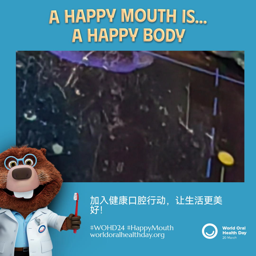 4dbcfa56695b2c9a0252a9d7a7d52f67.png