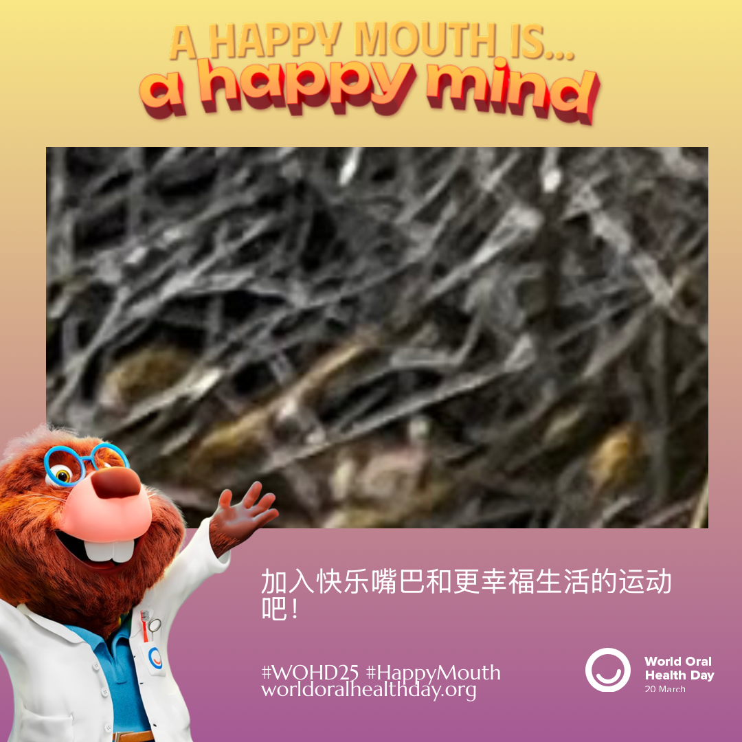 c43f63ba55b02c0e34e9e6896730e6bb.png