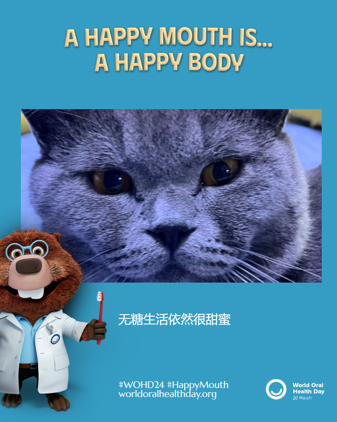 c80af914fa6b03ed02f0acde4c594776.png