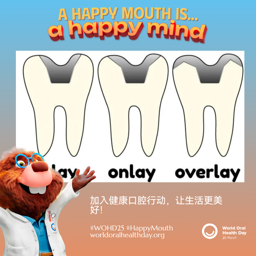 ede0660523964fc3c2f81eadeaa4f92c.png
