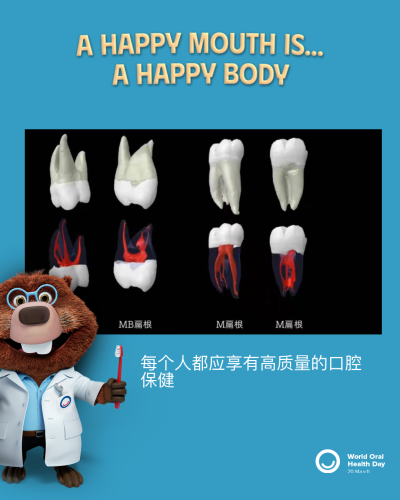7efd58fd29b441a45f1f29aa4cfb40c3.png