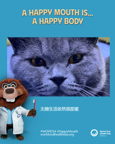 c80af914fa6b03ed02f0acde4c594776.png